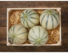 Cantaloupmelone