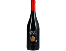 Carignano Isola dei Nuraghi IGT Argiolas (2022) – Rotwein, Italien (0.75l)