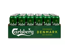 Carlsberg Bier, Dosen, 24 x 50 cl