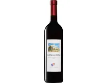 Castel San Pietro Merlot del Ticino DOC