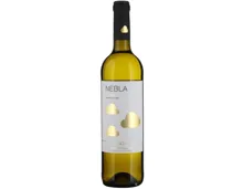 Castilla y Leon DO Verdejo Nebla Vicente Gandia (2024) – Weisswein, Spanien (0.75l)