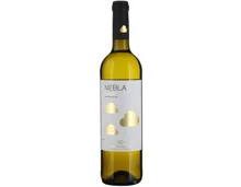 Castilla y Leon DO Verdejo Nebla Vicente Gandia (2025) – Weisswein, Spanien (0.75l)