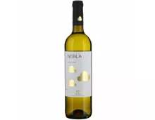 Castilla y Leon DO Verdejo Nebla Vincente Gandia