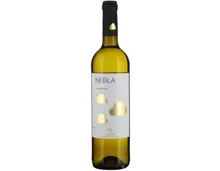 Castilla y Leon DO Verdejo Nebla Vincente Gandia