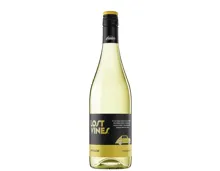 Catalogna Lost Vines White Blend Torres (2023) – Weisswein, Spanien (0.75l)