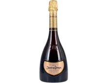 Cava DO Gran Reserva Juvé & Camps (2017) – Schaumwein, Spanien (0.75l)