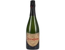 Cava DO Reserva de la Familia Gran Reserva Brut Nature Juvé & Camps – Schaumwein, Spanien (0.75l)