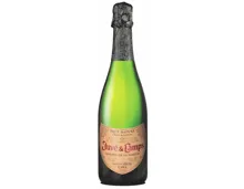 Cava DO Reserva de la Famillia Brut Nature Juvé & Camps (2019) – Schaumwein, Spanien (0.75l)