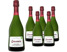 Cava DO Selección Raventós Codorníu, brut 6x 75cl – Schaumwein, Spanien (0.75l)