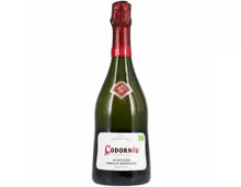 Cava DO Selección Raventós Codorníu, brut