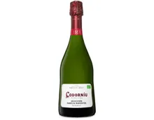 Cava DO Selección Raventós Codorníu, brut