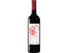 Centenario Merlot del Ticino DOC