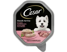 Cesar Klassiker mit Kalb & Geflügel