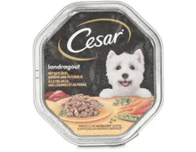 Cesar Landragout Geflügel Schale
