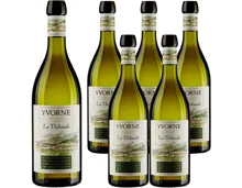 Chablais AOC Yvorne La Thibaude 6x 70cl (2024) – Weisswein, Schweiz (0.7l)