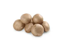 Champignons braun