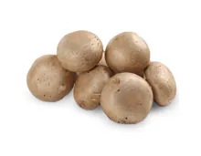 Champignons braun