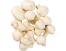 Champignons