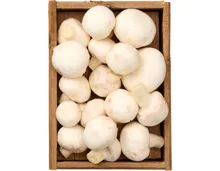 Champignons