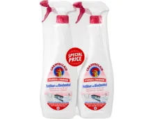 Chanteclair Fettlöser mit Bleichmittel