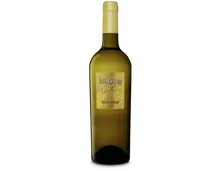 Chardonnay Salento IGP Andante (2023) – Weisswein, Italien (0.75l)