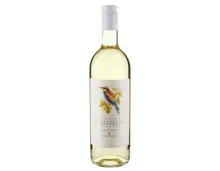 Chasselas Vin de Pays Badischer Landwein (2024) – Weisswein, Deutschland (0.75l)