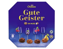 CHATEAU GUTE GEISTER IN NUSS