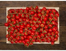 Cherrystrauchtomaten