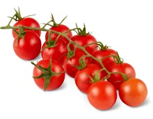 Cherrytomaten am Zweig