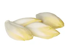 Chicorée