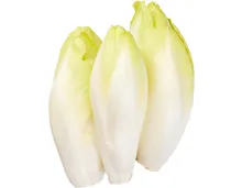 Chicorée