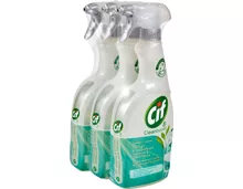 Cif Reinigungsmittel Multi-Flächen Power & Hygiene