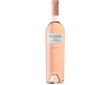 Cigales DO Museum Rosado (2022) – Roséwein, Spanien (0.75l)