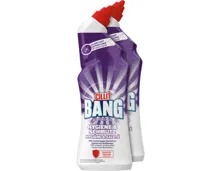 Cillit Bang WC Kraft Gel Hygiene & Schmutz 2 x 750 ml