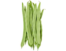 Cocobohnen