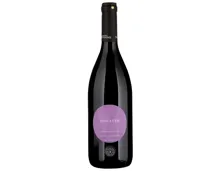 Colli Piacentini DOP Bonarda dolce frizzante Violetto (2023) – Rotwein, Italien (0.75l)