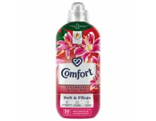 Comfort Strawberry