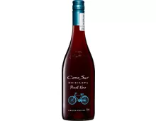 Cono Sur Bicicleta Pinot Noir