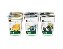 Coop Naturaplan Bio-Jogurt Mango, Fairtrade Max Havelaar, Heidelbeere, Brombeere, 6 x 180 g