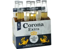 Corona Bier 6 x 33 cl