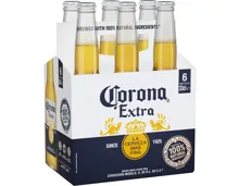 Corona Bier 6 x 33 cl