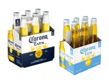 Corona Bier