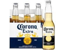 Corona Bier Extra