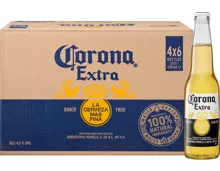 Corona Bier Extra