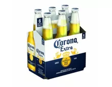 Corona Bier Extra 6x35,5cl
