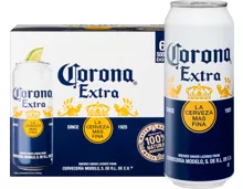 Corona Bier Extra