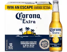 Corona Bier Extra