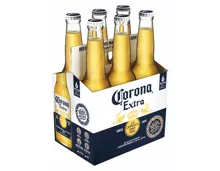 Corona Extra