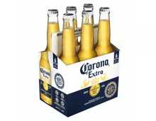 Corona Extra 6x33cl