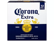 Corona Extra Bier, 12 x 35,5 cl